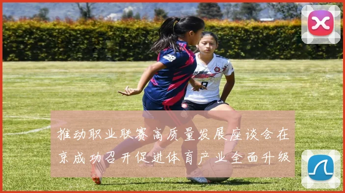 推动职业联赛高质量发展座谈会在京成功召开促进体育产业全面升级与创新发展