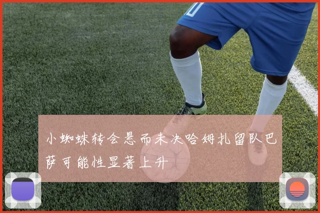 小蜘蛛转会悬而未决哈姆扎留队巴萨可能性显著上升