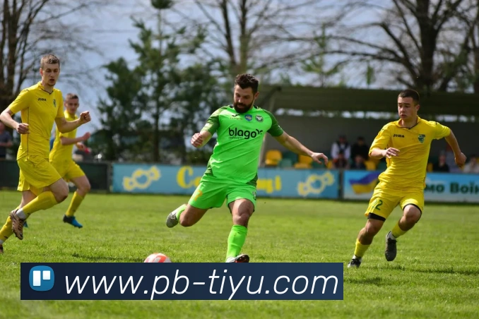 赛事专题整合